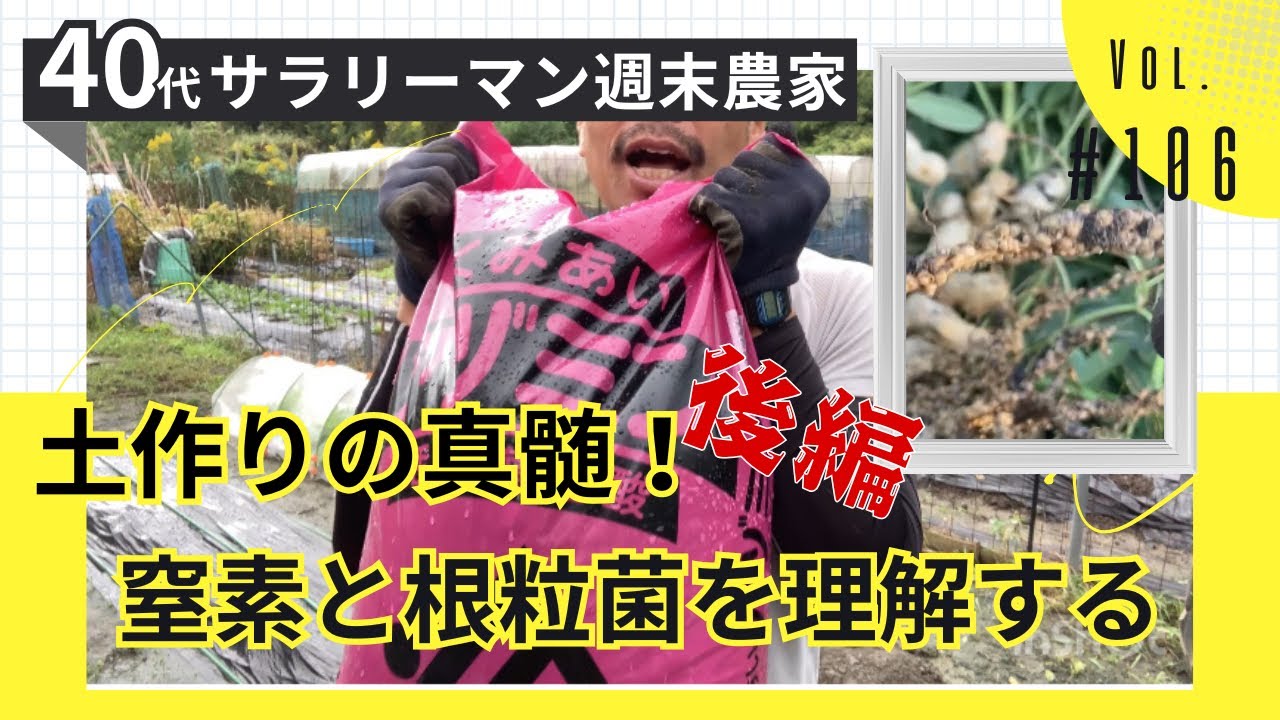 【Vol.106_家庭菜園3年目_土作りの最終章！】サラリーマンが週末だけで出来る農業にチャレンジ！土作りの真髄とは？腐植×窒素×根粒菌の力を解説｜芽キャベツ定植＆アズミン実践編