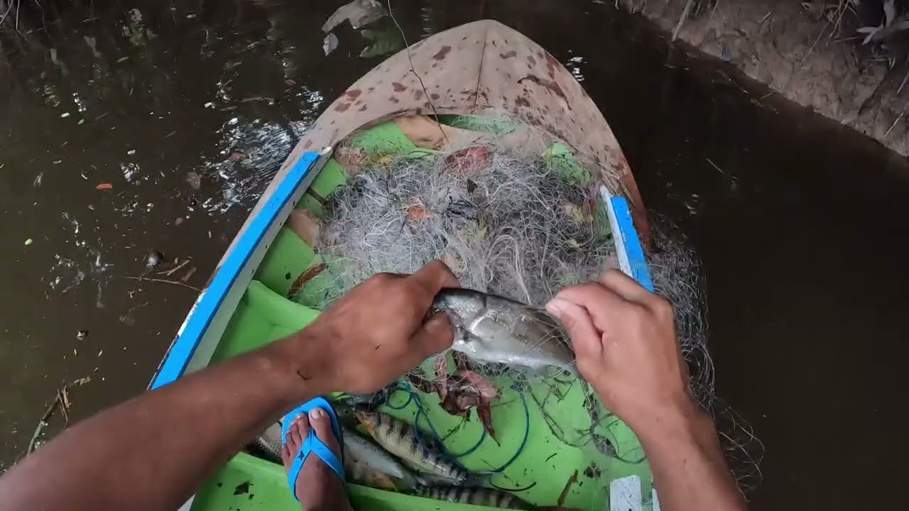 Pesca de malhadeira foi top, mas tive uma surpresa com uma sucuri, vejam! 