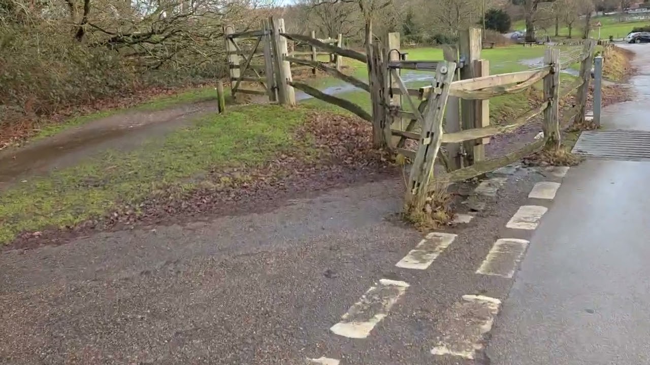 Walk in sutton park