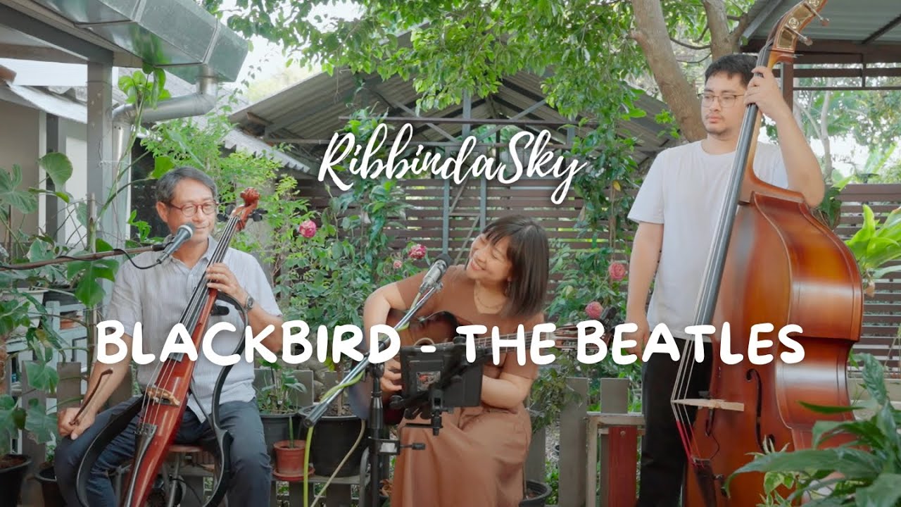 Blackbird - The Beatles | RibbindaSky Live Session #trioband