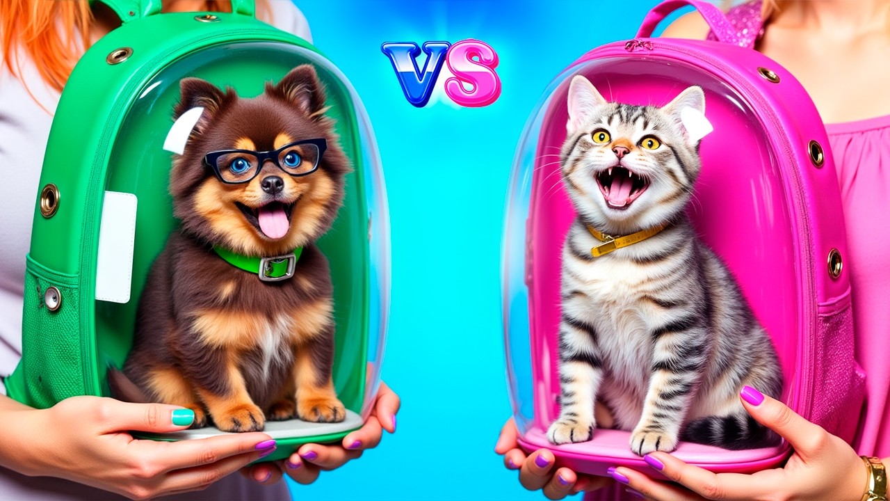 Cat vs Dog Challenge! College Life & Pet Care Tips