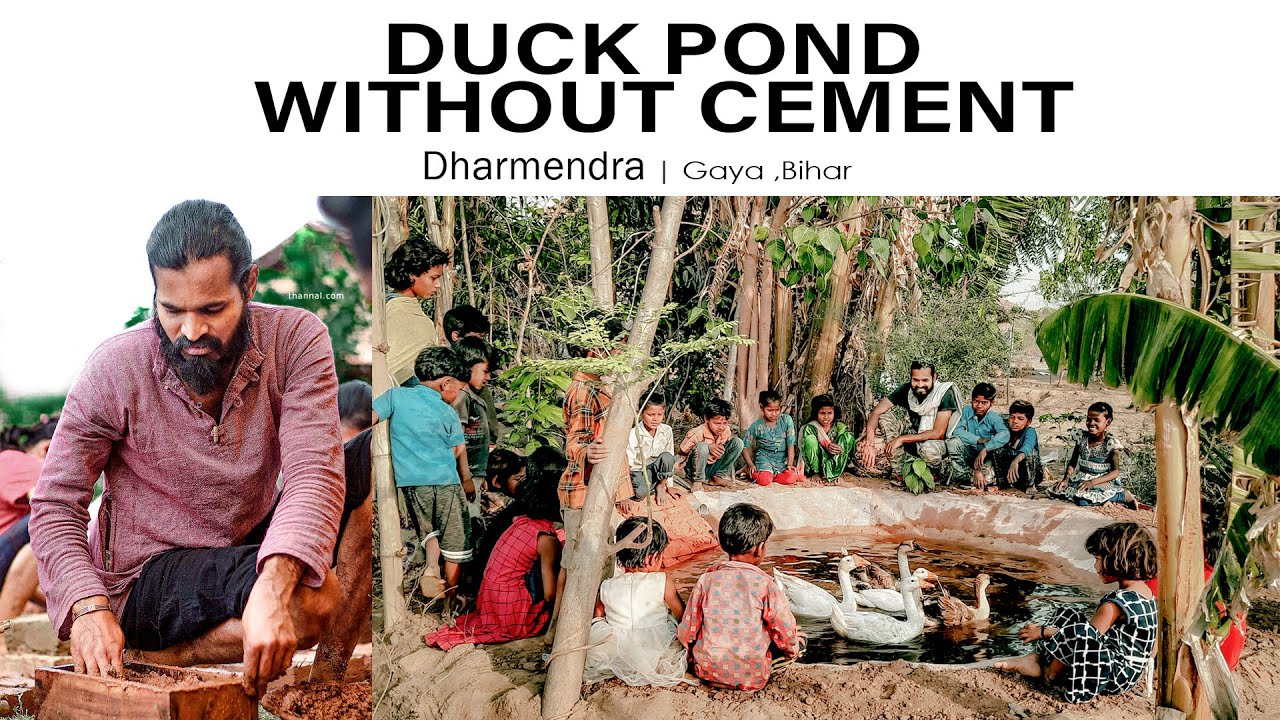 Duck Pond without Cement | Using Lime & Surkhi | Dharmendra Dada| Bihar
