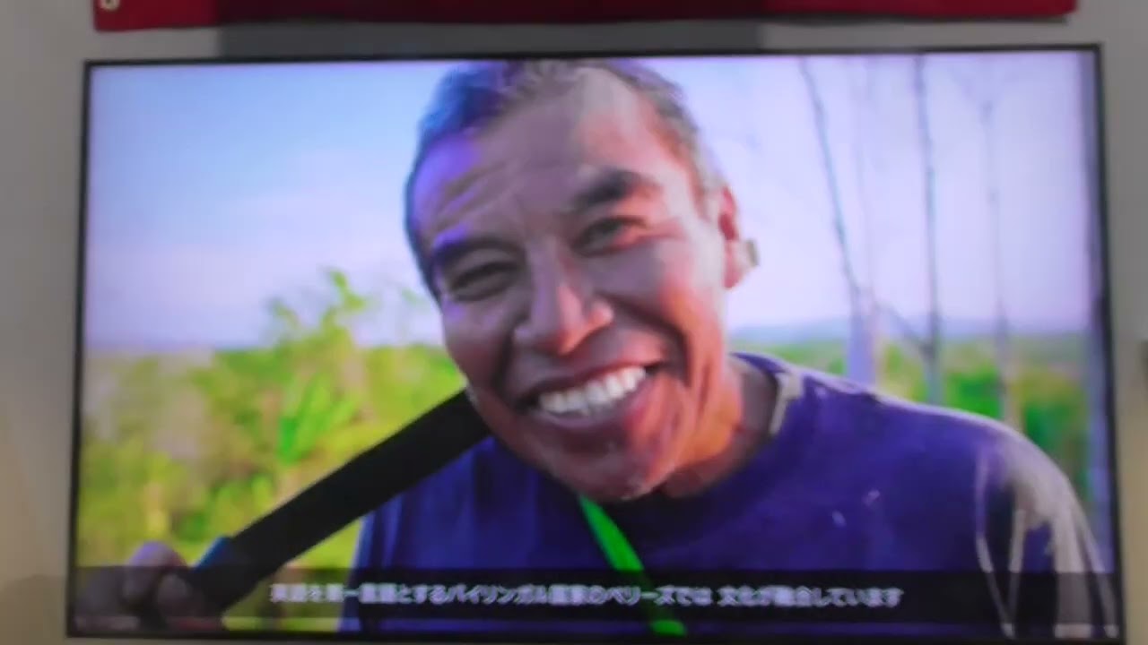 ベリーズパビリオン-コモンズD-大阪･関西万博2025