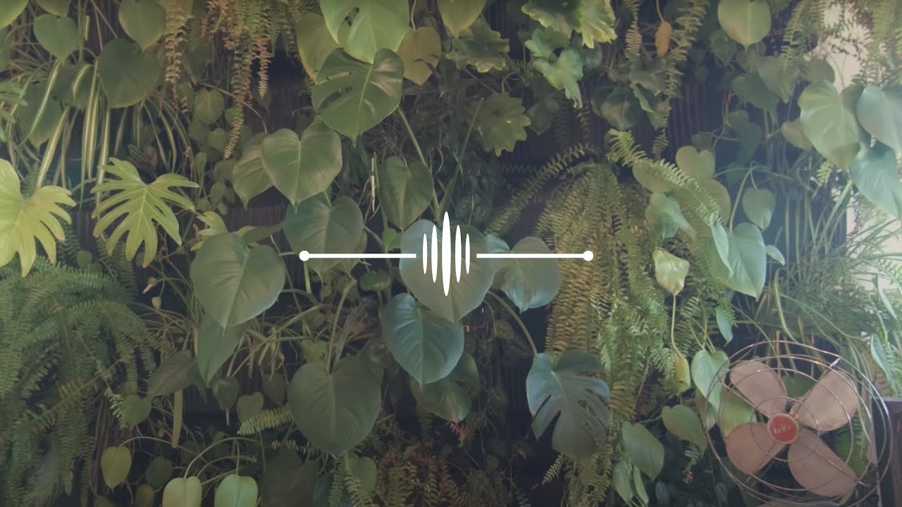 Ricky Reed // This Is How I Bliss