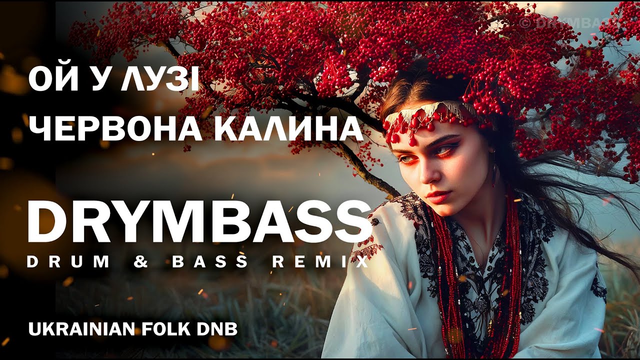 DrymBass. Ой у лузі червона калина - Oh, the Red Viburnum in the Meadow. Ukrainian Drum & Bass Remix