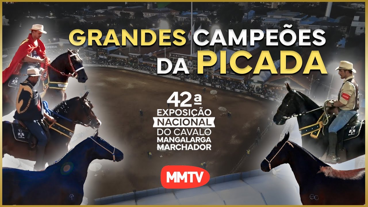 GRANDES CAMPE&Otilde;ES 2025 - MARCHA PICADA 42&ordf; EXP. NACIONAL