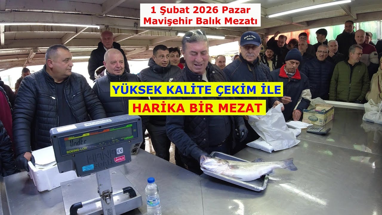 ÇİPURALAR UÇUŞA GEÇTİ, LÜFER VE BARBUNA NİSPET YAPAR GİBİYDİ. BOL KAHKAHA BOL EĞLENCE.