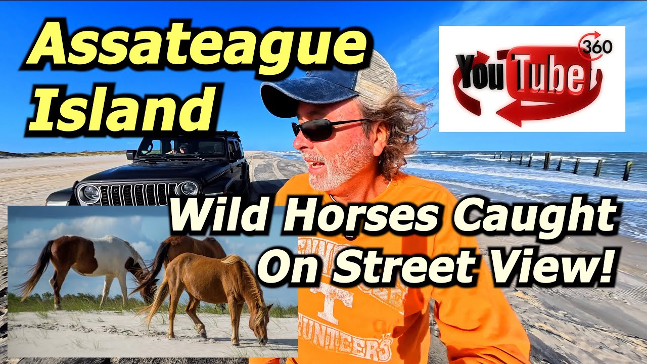 Assateague Island National Seashore 8K 360° 12-Mile Beach Ride & Google Maps Street View Creation! 🐎