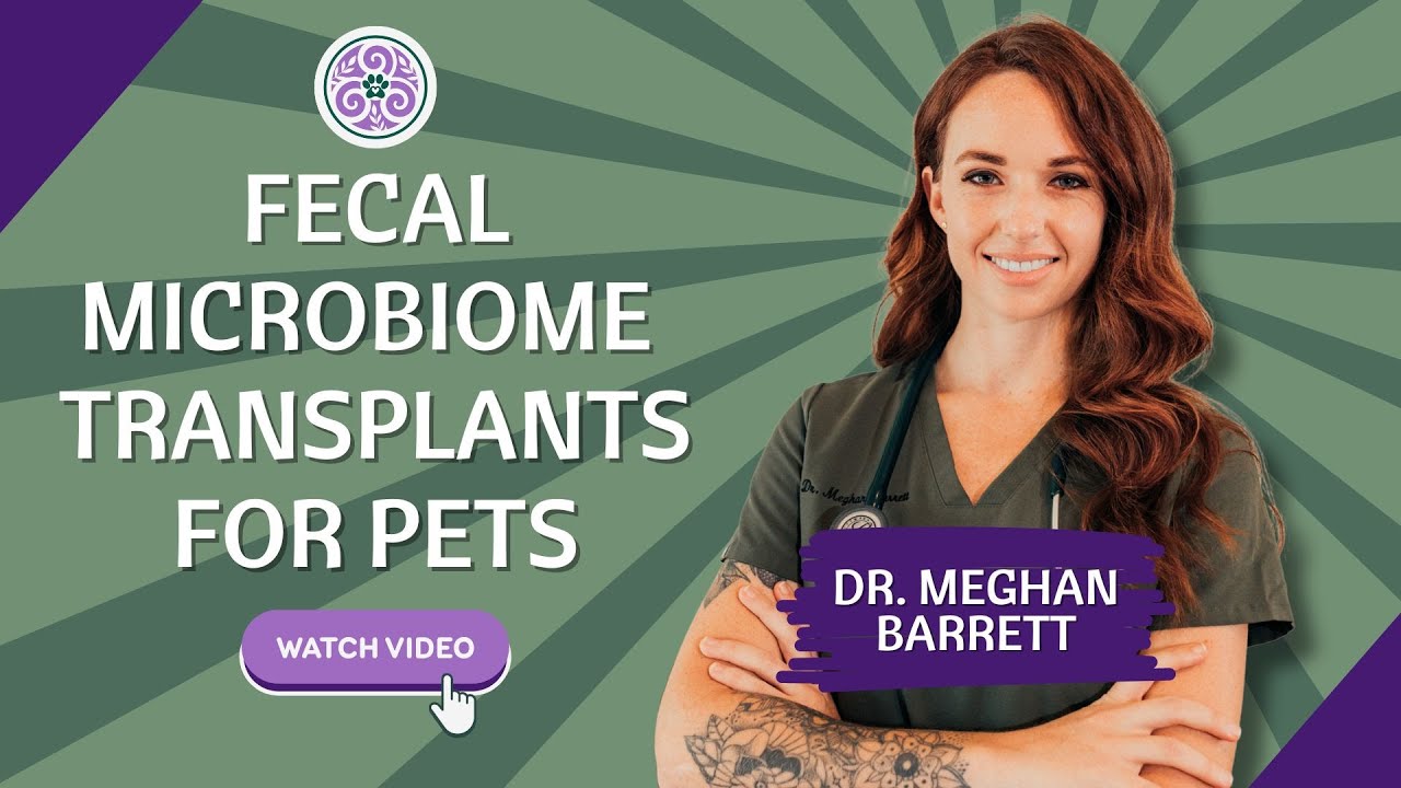 Can Poop Heal Your Pet? The Truth About Fecal Microbiome Transfers