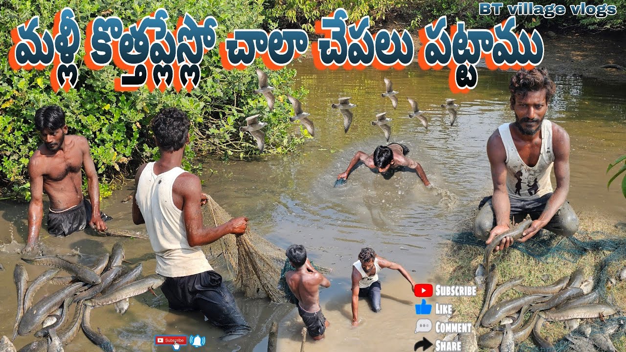 మళ్లీ కొత్తప్లేస్లో చాలా చేపలు పట్టాము#villagevideos #fishing #penumudi #villagevlog #prawns hunting