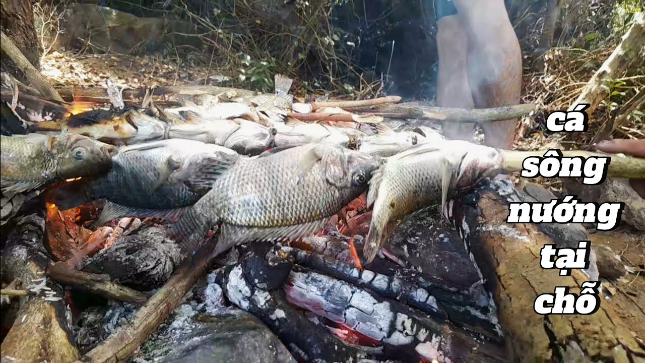 Thả lưới bắt cá tại sông Ba