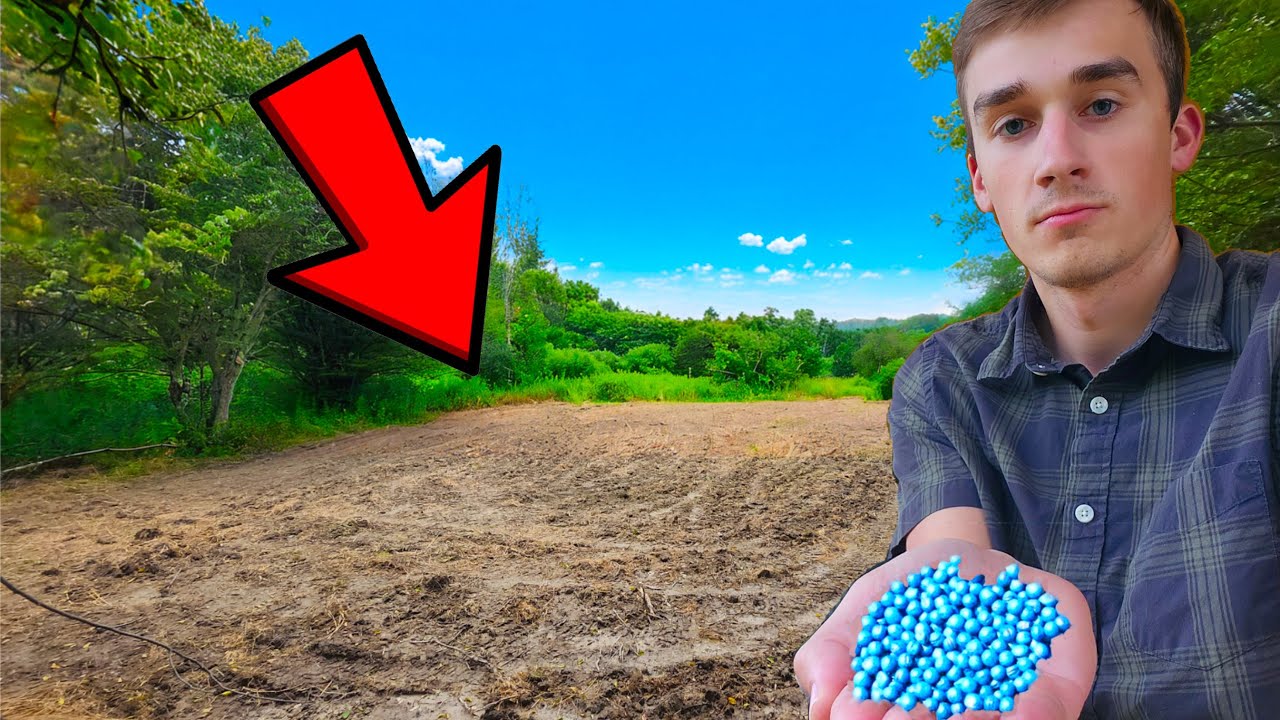 How to Make a Food Plot in 4 Steps!