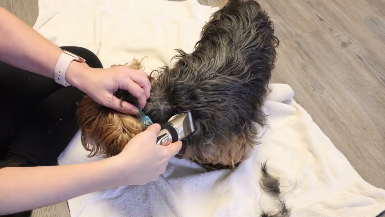 oneisall Dog Shaver Clippers Low Noise Rechargeable Cordless Electric Quiet Hair Clippers Set