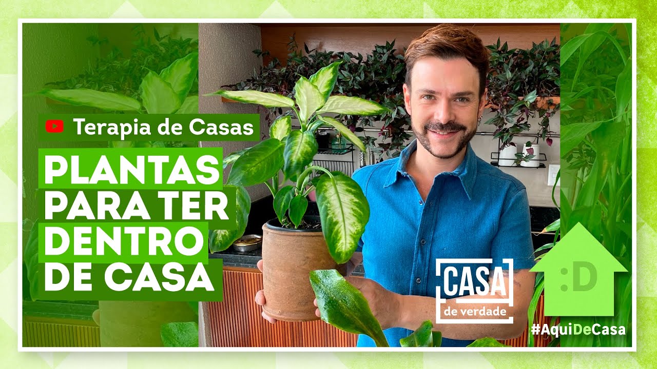 Dicas de plantas naturais para o Feng Shui com Luiz Netto