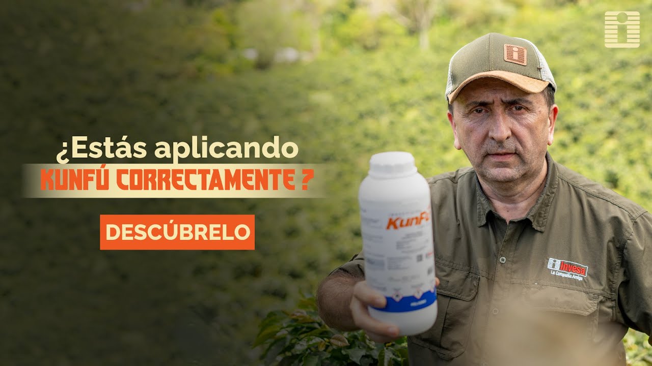 🌱 AGROINVESA | TODO LO QUE DEBES SABER PARA UTILIZAR KUNFÚ 100 EC CONTRA LA BROCA DEL CAFÉ🌿