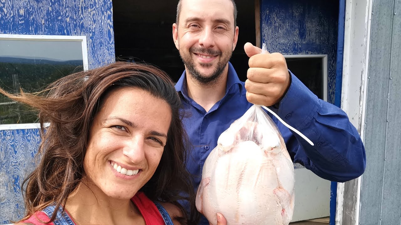Congeler en sac le poulet de grain et voir ma plumeuse de plus près