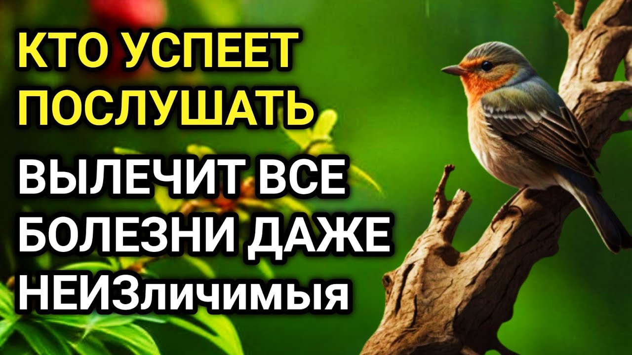 🔑💙 ИСЦЕЛЯЕТ ВСЕ БОЛЕЗНИ И ДАЖЕ ТЯЖЁЛЫЕ И НЕИЗЛЕЧИМЫЕ! дуа Всевышнему Аллаху 🤲✨💯