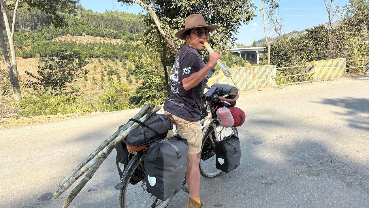 Cycling China:Yunnan骑行云南开启捡甘蔗模式，90后夫妻种植甘蔗年入百万