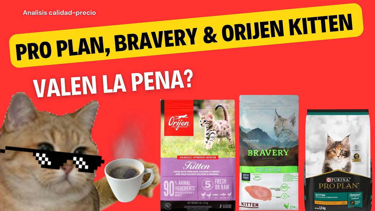 Análisis de alimento para Gato: Pro Plan, Bravery y Orijen Kitten