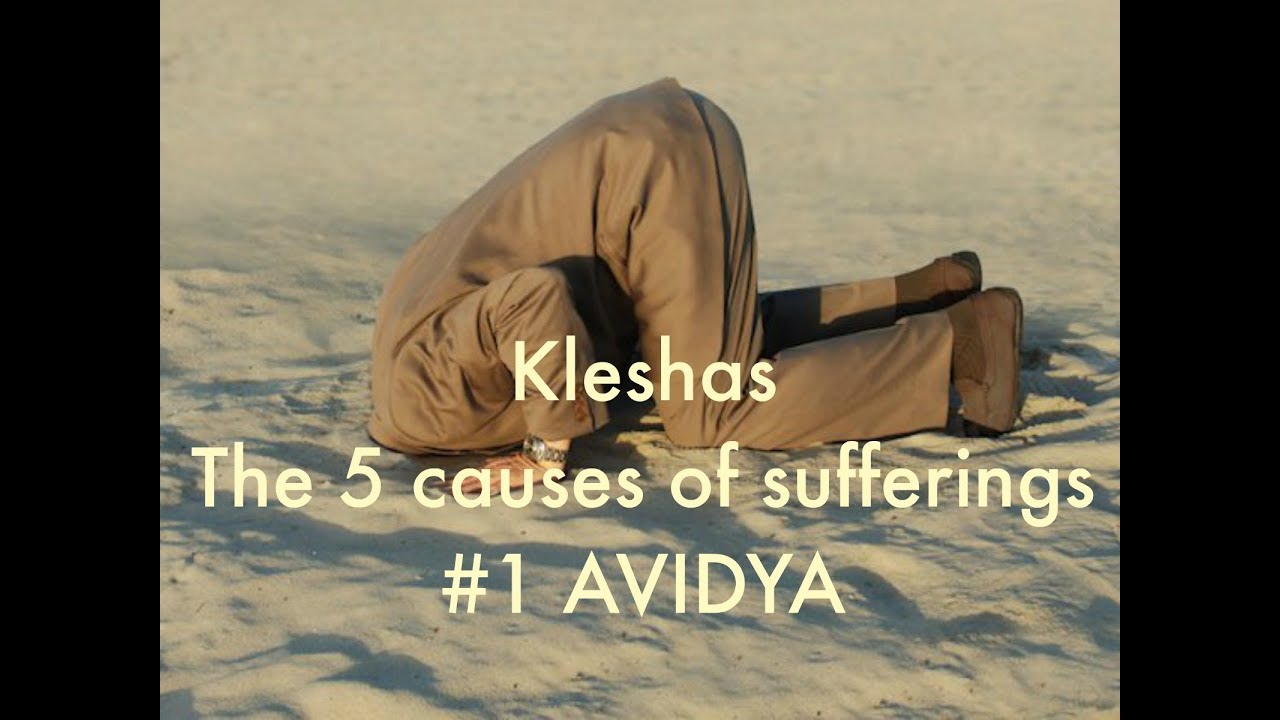 Kleshas, the causes of suffering; Avidya
