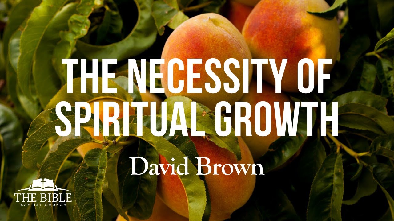 The Necessity of Spiritual Growth | Pastor David Brown