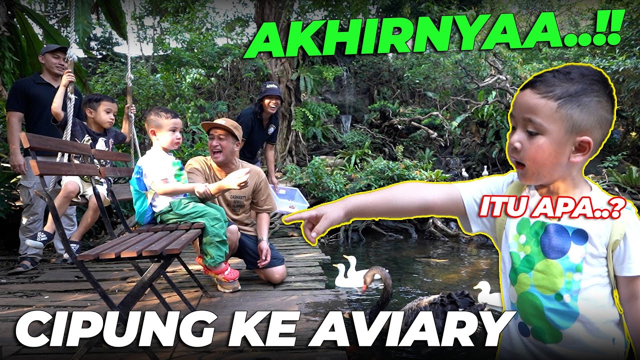 BETAH BANGET CIPUNG DI AVIARY. SAMPE GAMAU PULANG..!