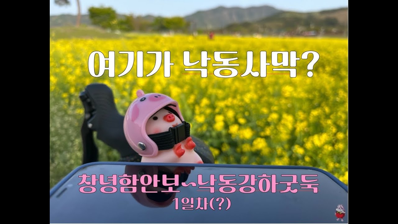 자전거 국토종주 낙동강 하류편 (창녕함안보~낙동강하굿둑)  1일차 [끊어치기 국토종주]