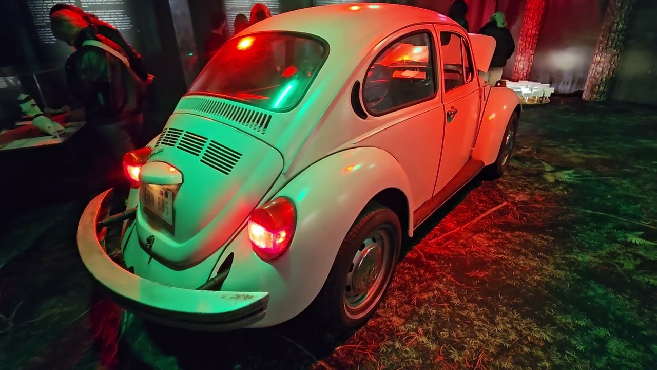Serial killer Ted Buntys Beetle Dublin Exhibition 