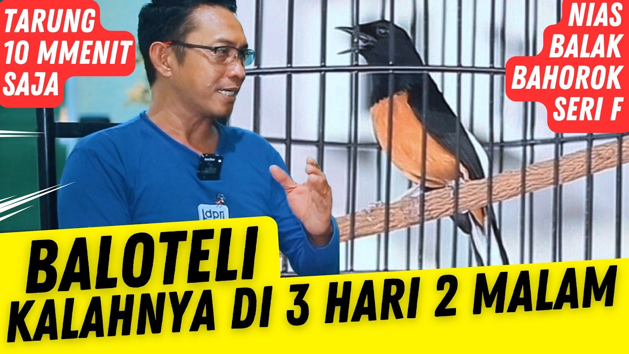 Dari Palu Cuma Nyari Ginian  ‼️ Akhirnya BALOTELI Juara 2 Tiket 1,1 Jt Piala Ketua MBB