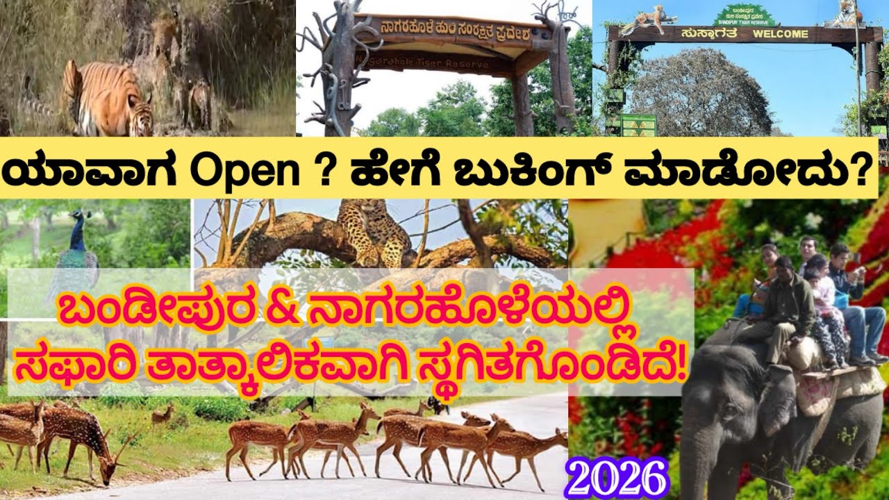 Bandipur and Nagarhole Safari 2026| Bandipur Safari |Nagarhole Safari |Accommodation |Safari Package