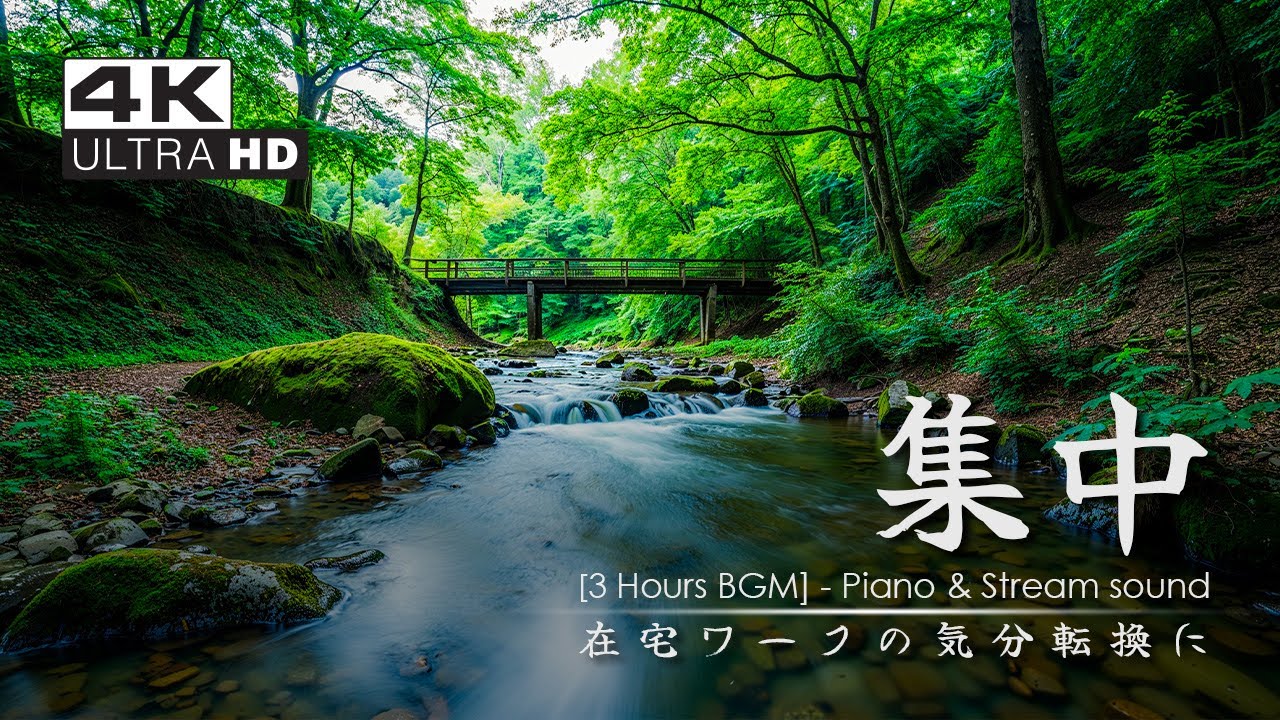 【Work BGM / Nature Sound】雨上がりの森と流れる小川＋ピアノ｜在宅ワークの気分転換に