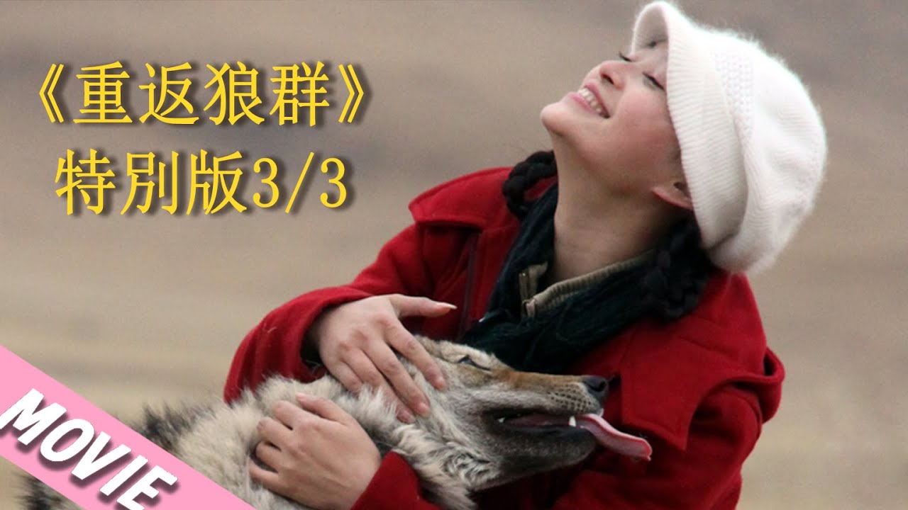 【重返狼群Return To The Wolves 3/3】4k高修復版  #drama #cdrama #动物