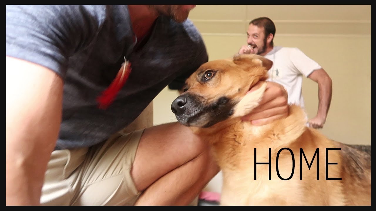 Vlog 7 - The Home