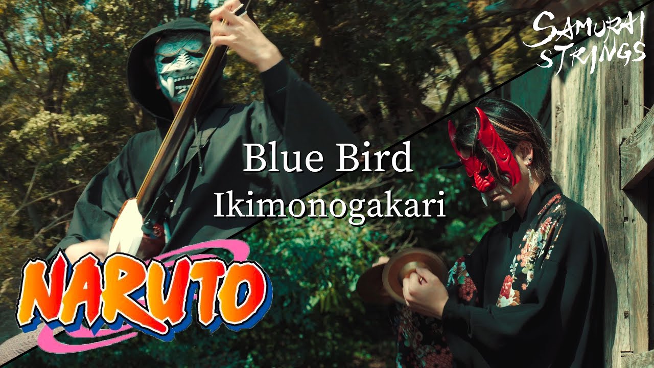 Blue Bird - NARUTO - (Japanese instruments cover) - SAMURAI STRINGS