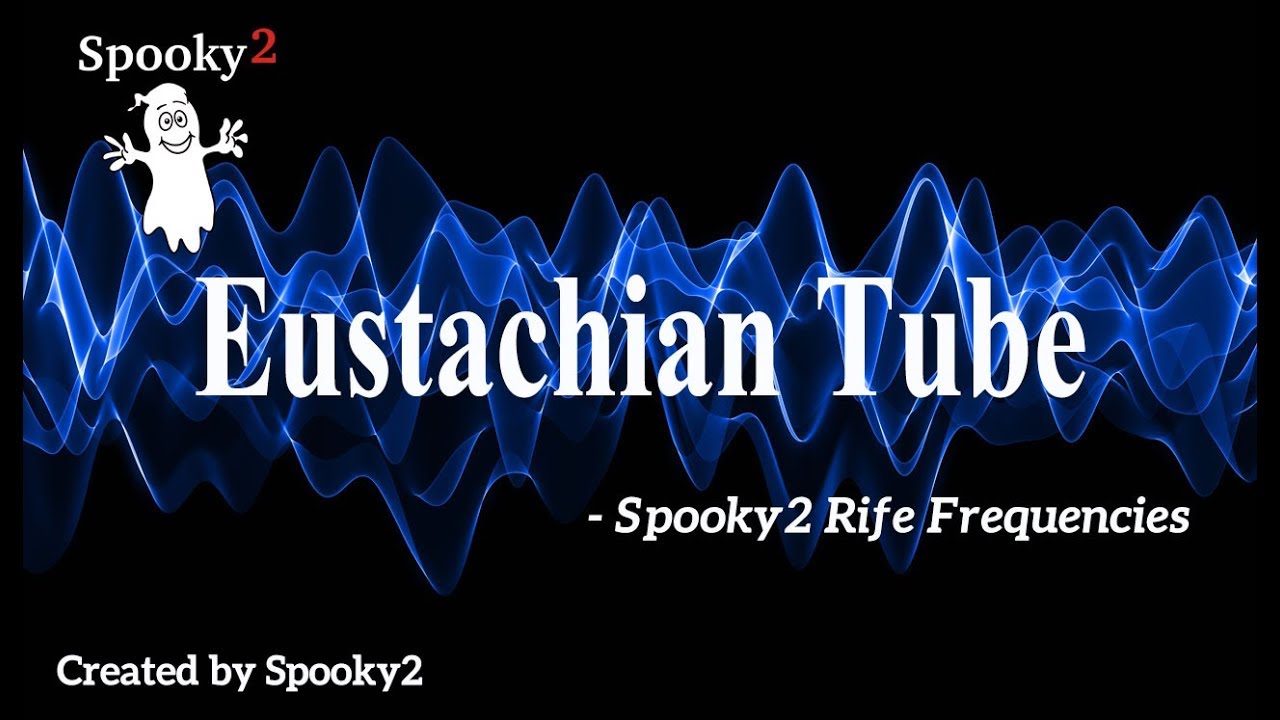Eustachian Tube - Spooky2 Rife Frequencies