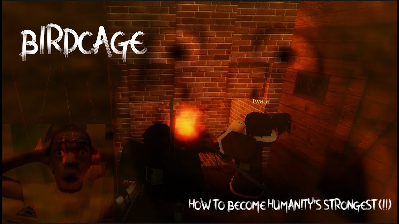 THE STRONGEST | BIRDCAGE