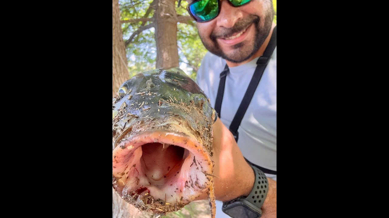 Catching Quality Carp at Elmendorf Lake