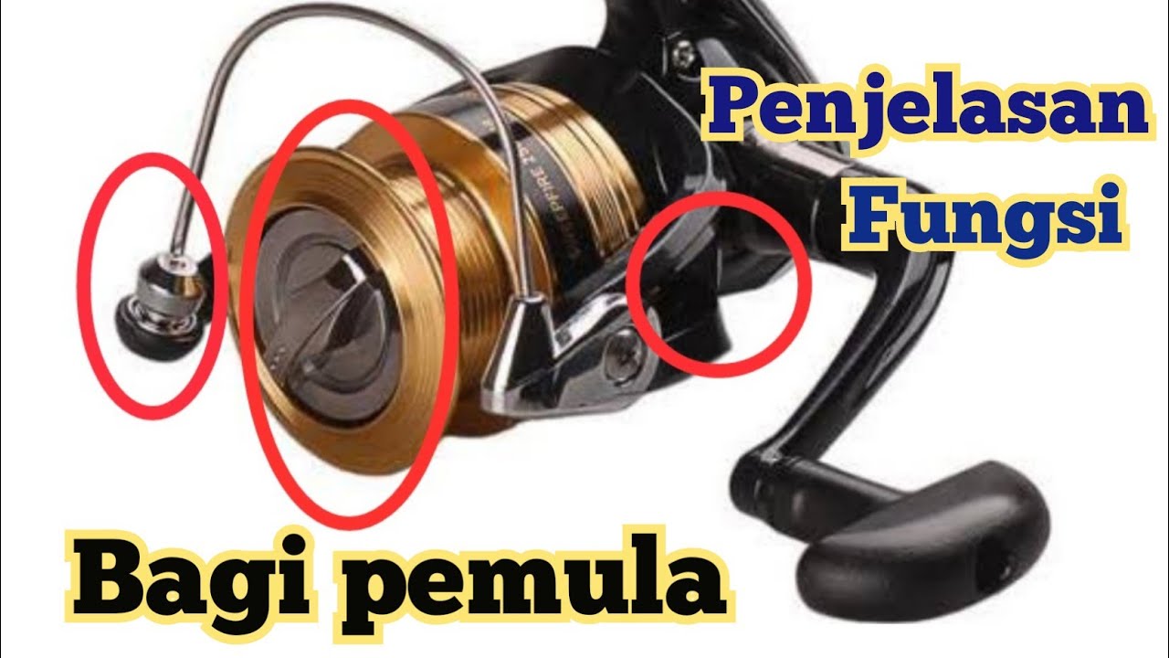 Pengenalan bagian dan fungsi Reel Spinning bagi yang pemula sekali