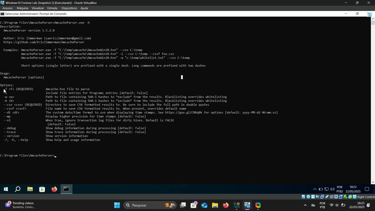 An&aacute;lise Forense Hive AmCache com FTK Imager & AmcacheParser