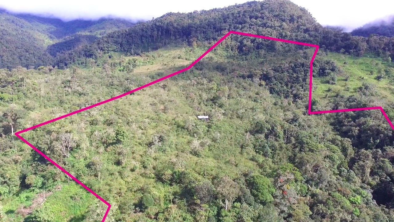 FINCA LIMON, SE BUSCA PERSONAS PARA QUE TRABAJEN EN LA FINCA