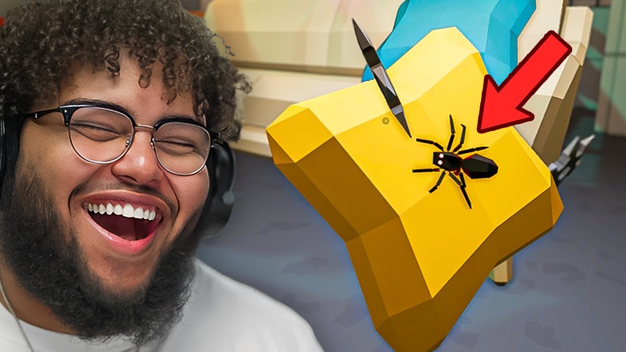 HIDE AND SEEK AS SPIDERS IS FUNNIER THAN YOU THINK