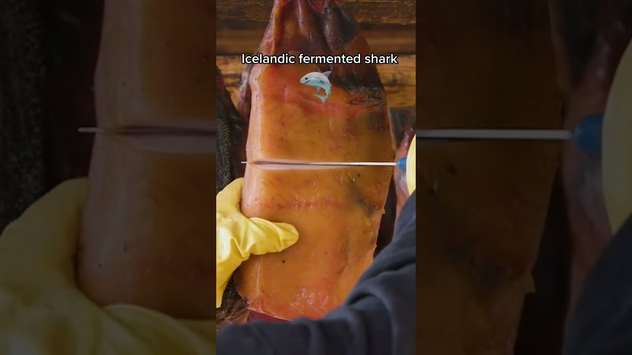 How toxic shark is fermented for eating #shorts