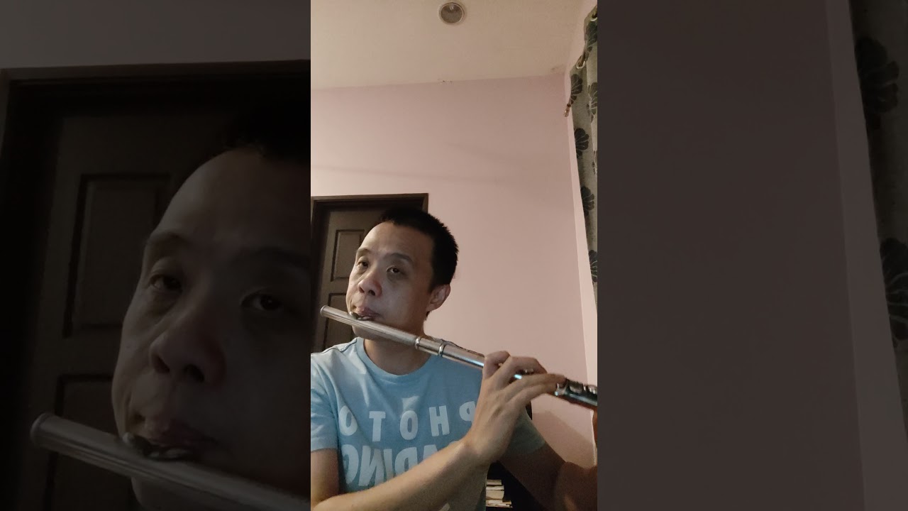 Mozart: Andante in C major for flute and orchestra K 315