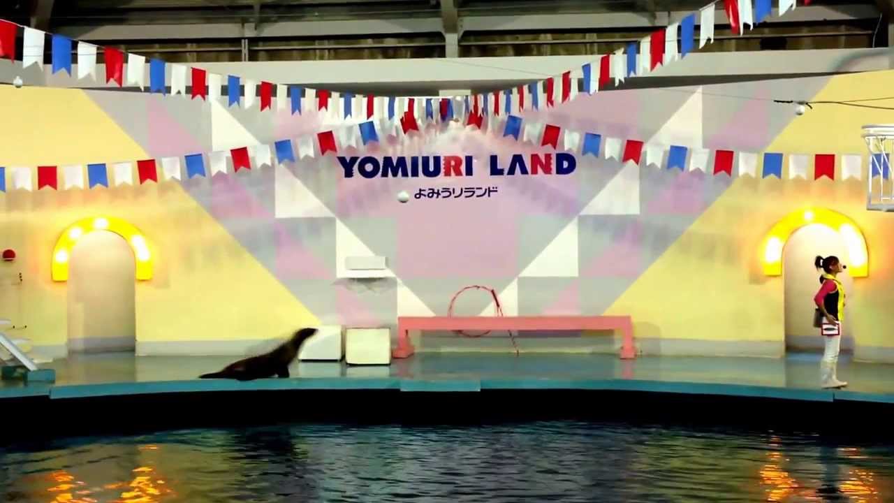 よみうりランド アシカショー ① めぐちゃん