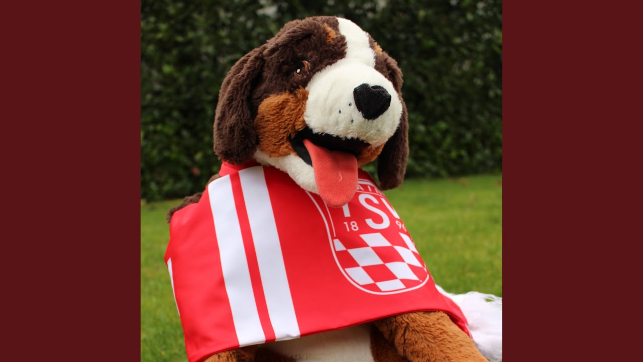 So schön kann Fußball sein (TSV Rain)