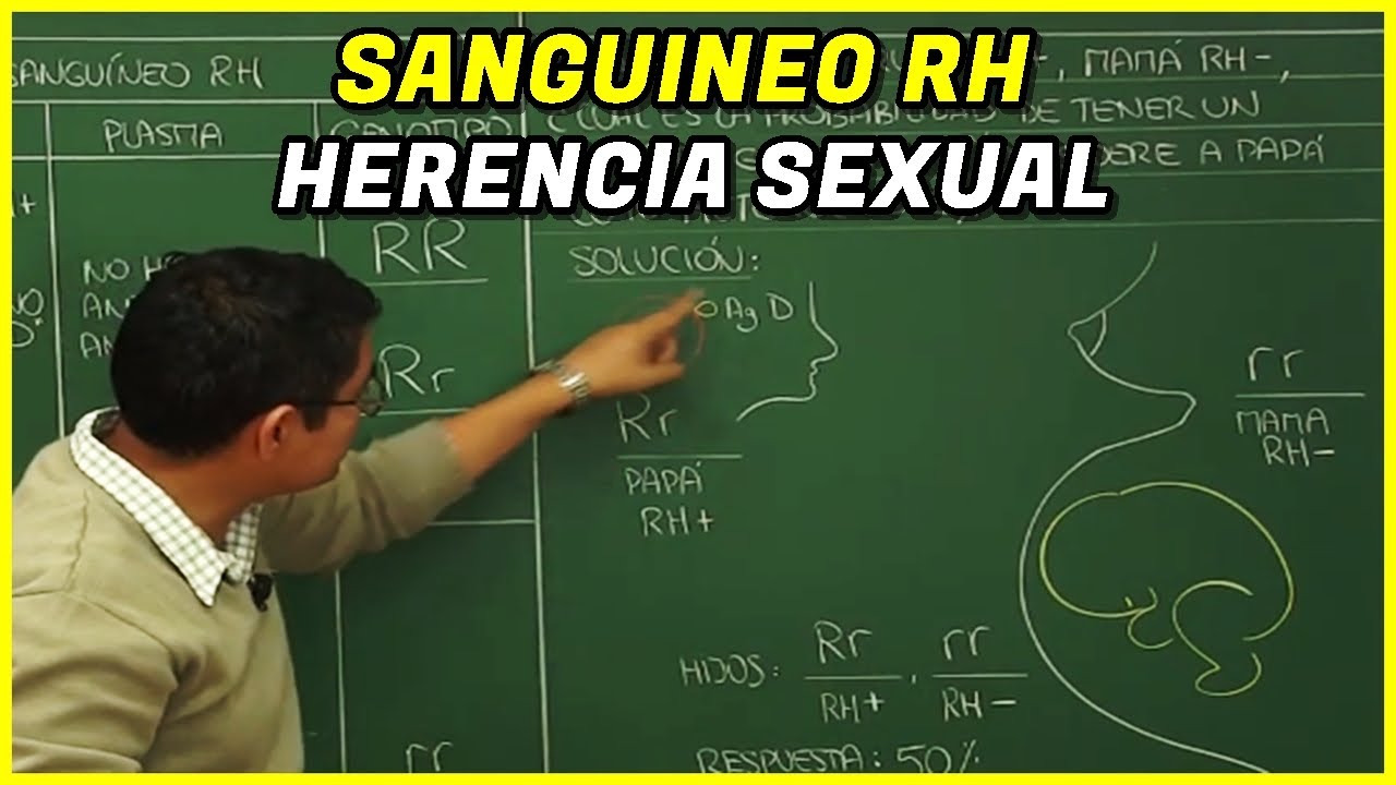Genética IV: Herencia Sexual, Sanguineo RH