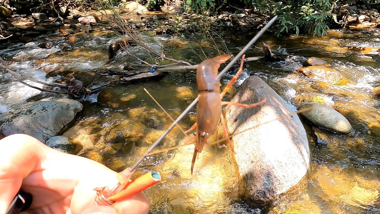 En busca de camarón de rio, /villa purificación