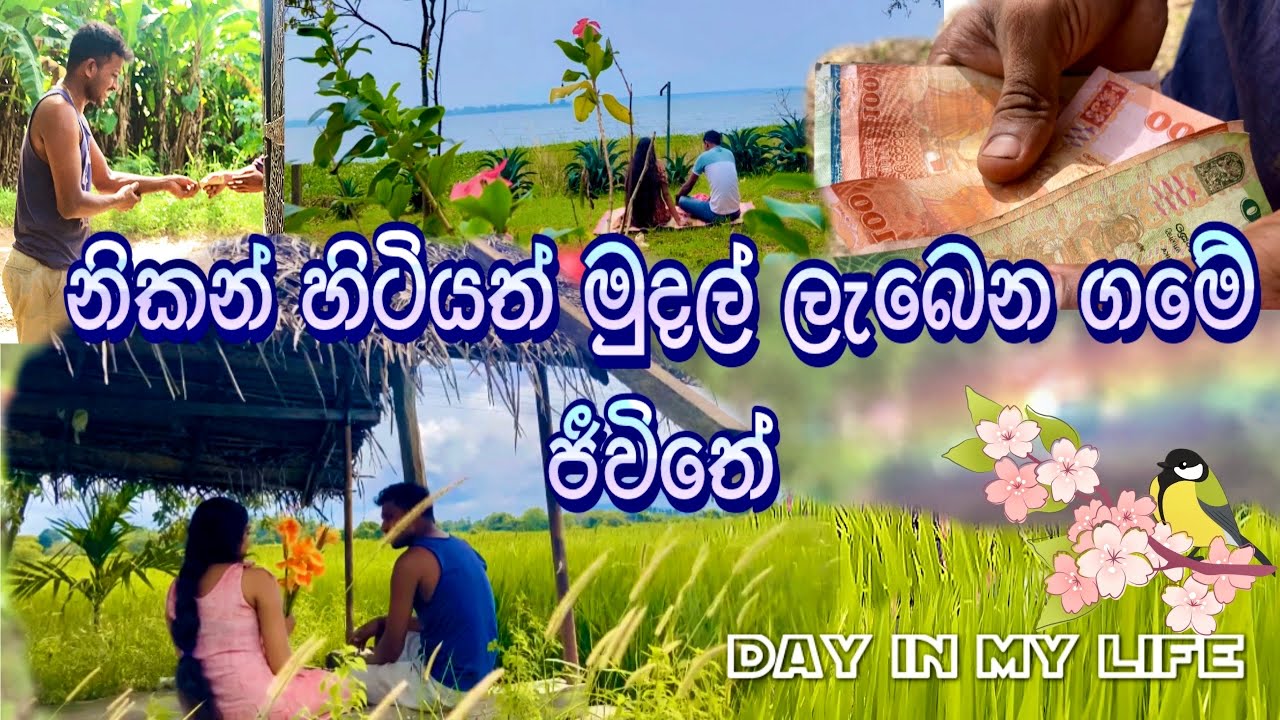 🍃🦋ගමක ජීවත්වෙන්න ලැබෙන එකම මොනතරම් වාසනාවක්ද🙃🌸 #heartofthevillage