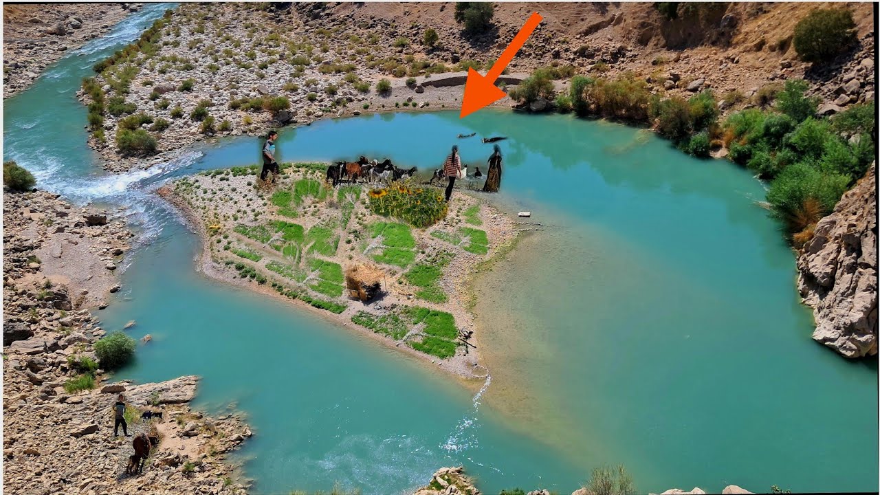 Adventure of a nomadic family on an island | Goats crossing the river and living in nature🌊🐐🎣