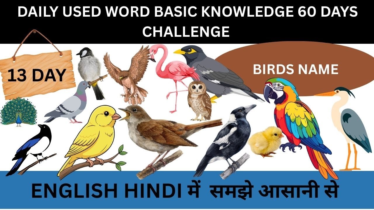 Daily Used Word | Basic Knowledge Day 13 | Birds Name English with Hindi |13 Day of 60 Days